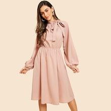 Shein Tie Neck Pleat Detail Balloon Sleeve Dress