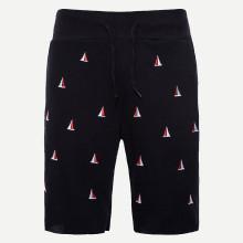Shein Men Embroidery Detail Drawstring Waist Shorts