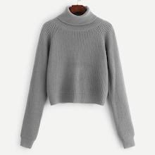 Shein Roll Neck Raglan Sleeve Jumper