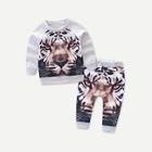 Shein Toddler Boys Raglan Sleeve Tiger Print Sweatshirt With Pants