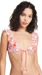 Palmacea Lilac Vines Bikini Top