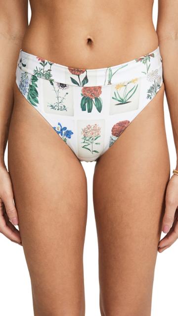 Agua By Agua Bendita Penelope Bikini Bottoms