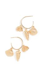 Aurelie Bidermann Hoop Multi Shell Earrings