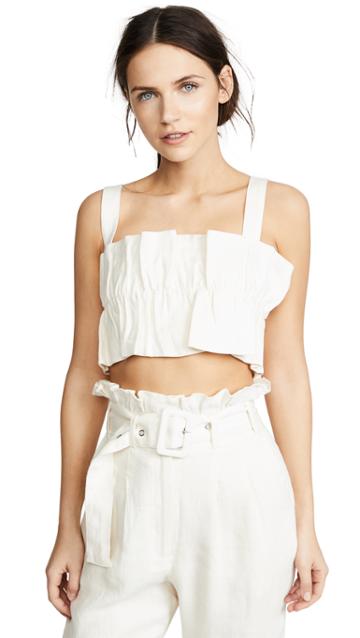 Steele Aster Crop Top