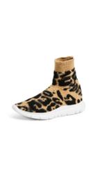 Joshua Sanders Classical Leo Joggers