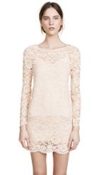 Loyd Ford Queen T Shirt Dress