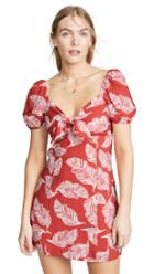 J O A Red Tropical Mini Dress