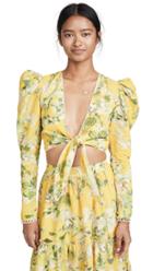 Hemant And Nandita Terra Crop Top