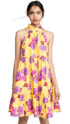 Borgo De Nor Margot Floral Mini Dress