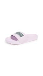 Puma Leadcat Nsk Slides