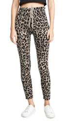 Sundry Leopard Cozy Sweatpants