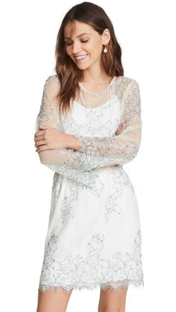 Loyd Ford Corded Lace Dress