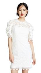 Milly Kara Dress