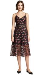 Bb Dakota Magic Hour Dress