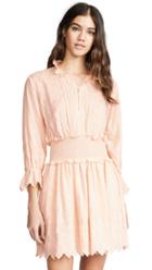 La Vie Rebecca Taylor Long Sleeve Embroidered Voile Dress