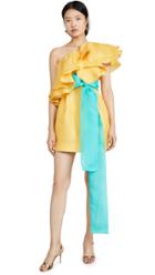 Prabal Gurung Carsix One Shoulder Ruffle Dress