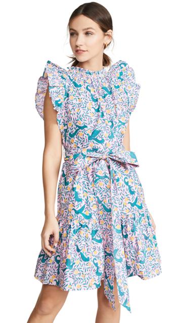 Banjanan Bulbul S Sister Dress