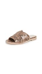 Ld Tuttle The Breeze Slides