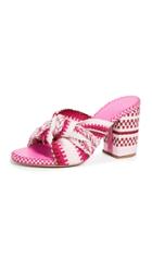 Antolina Biagia Mules