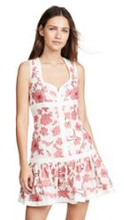 Alexis Lilou Dress