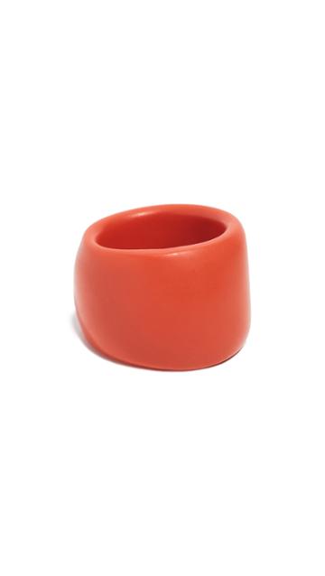 Dinosaur Designs Band Ring