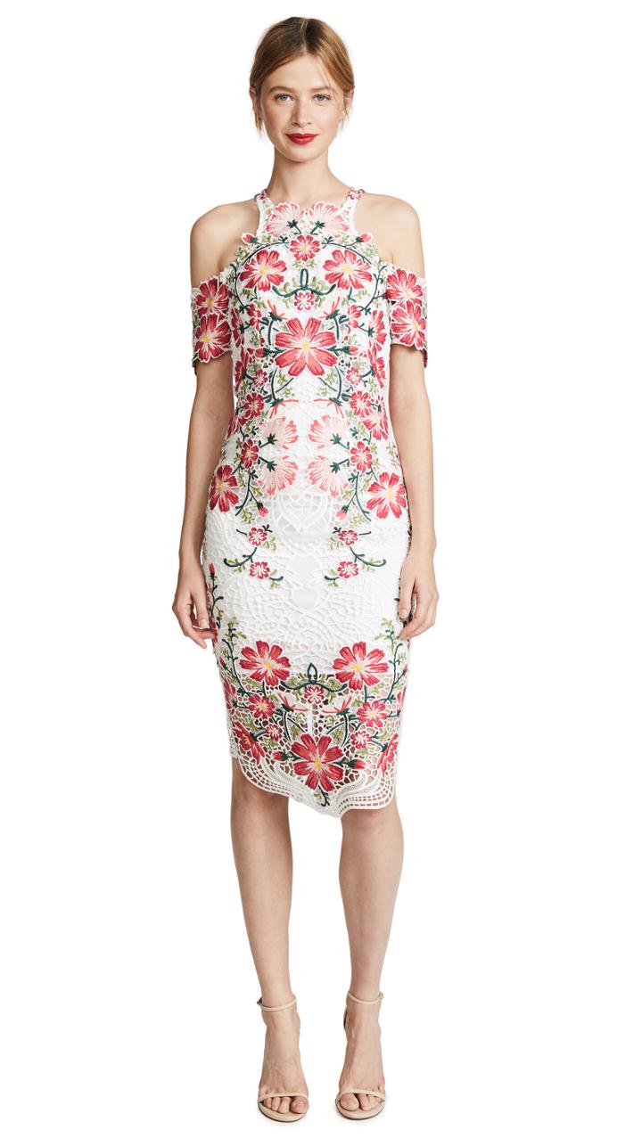 Thurley Flower Bomb Lace Midi Dress
