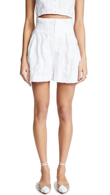 Steele Linley Shorts