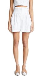 Steele Linley Shorts