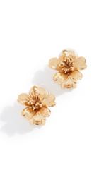 Oscar De La Renta Delicate Flowers Button Earrings