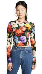 Alice Olivia Delania Crop Top