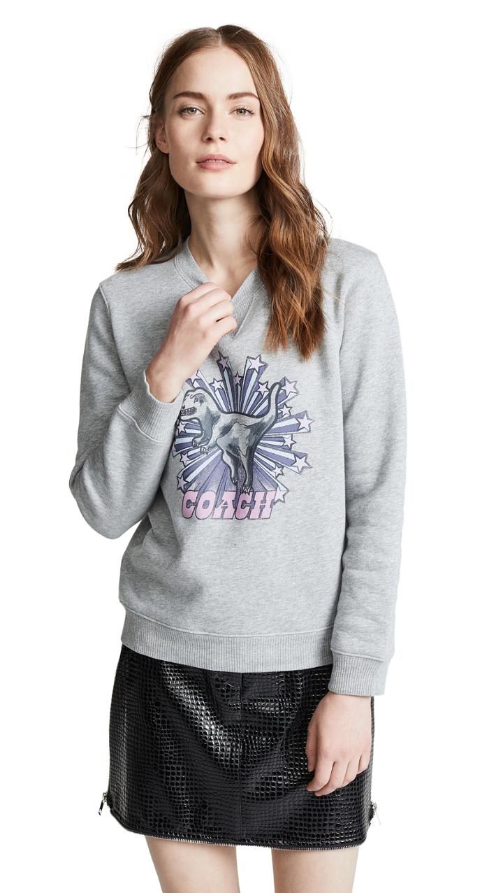 Coach 1941 Retro Star Rexy Crewneck Sweatshirt