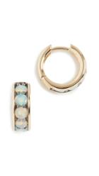 Jane Taylor 14k Chubby Hoop Earrings