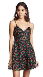 Bb Dakota Jack By Bb Dakota Nothin To Mesh With Dress