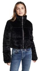 Tiger Mist Bridget Jacket