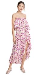 Misa Sabella Dress