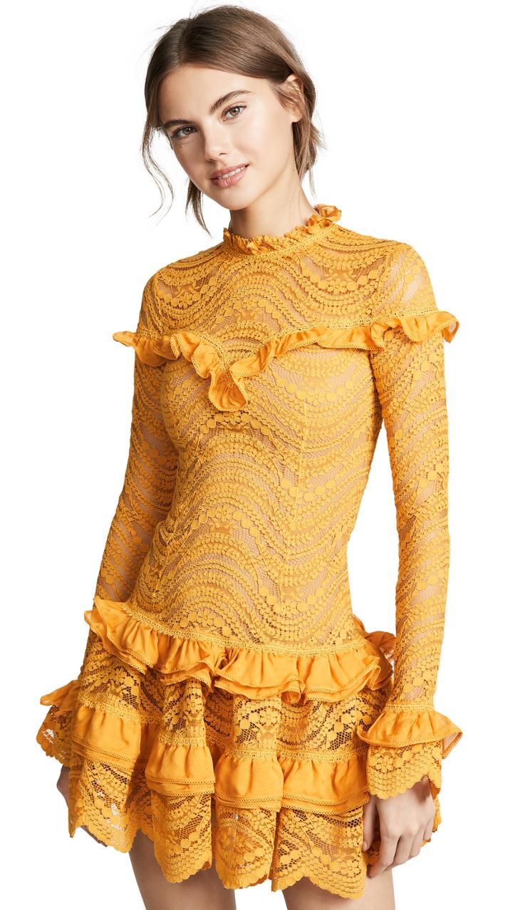 Jonathan Simkhai Chiffon Lace Ruffle Dress