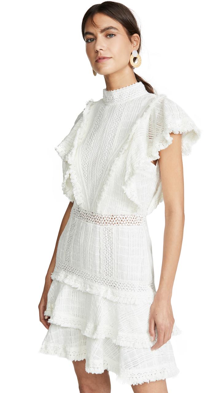 Alice Olivia Bea Lace Insert Fringe Dress