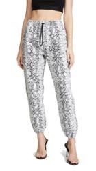 Denim X Alexander Wang Printed Jogger Pants
