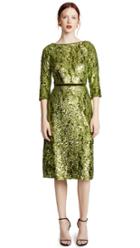 Marchesa Notte Embroidered A Line Cocktail Dress