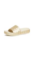 Ash Scream Slides