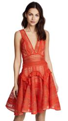 Thurley Flower Bomb Lace Mini Dress