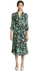 Diane Von Furstenberg Phoenix Dress