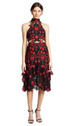 Thurley English Rose Dress