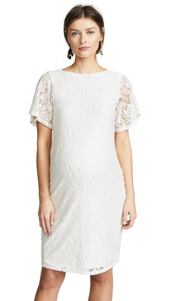 Ingrid Isabel Lace Flutter Sleeve Dress