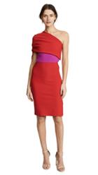 Haney Briana One Shoulder Dress With Ruched Sleeve