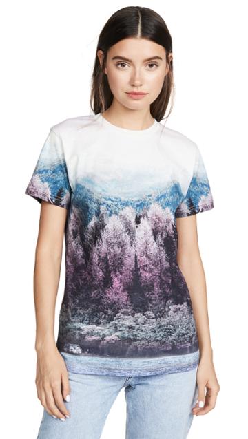 Baum Und Pferdgarten Jolee Tee