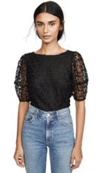 Joie Marybeth Top