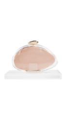 Benedetta Bruzziches Ariel Transparent Clutch