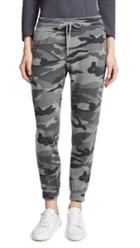 Splendid Camo Active Jogging Pants
