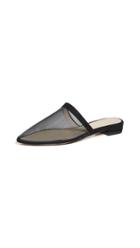 Mari Giudicelli Brisa Mules